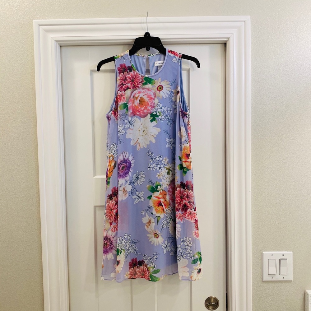 Calvin Klein Women's Chiffon Sleeveless Dress